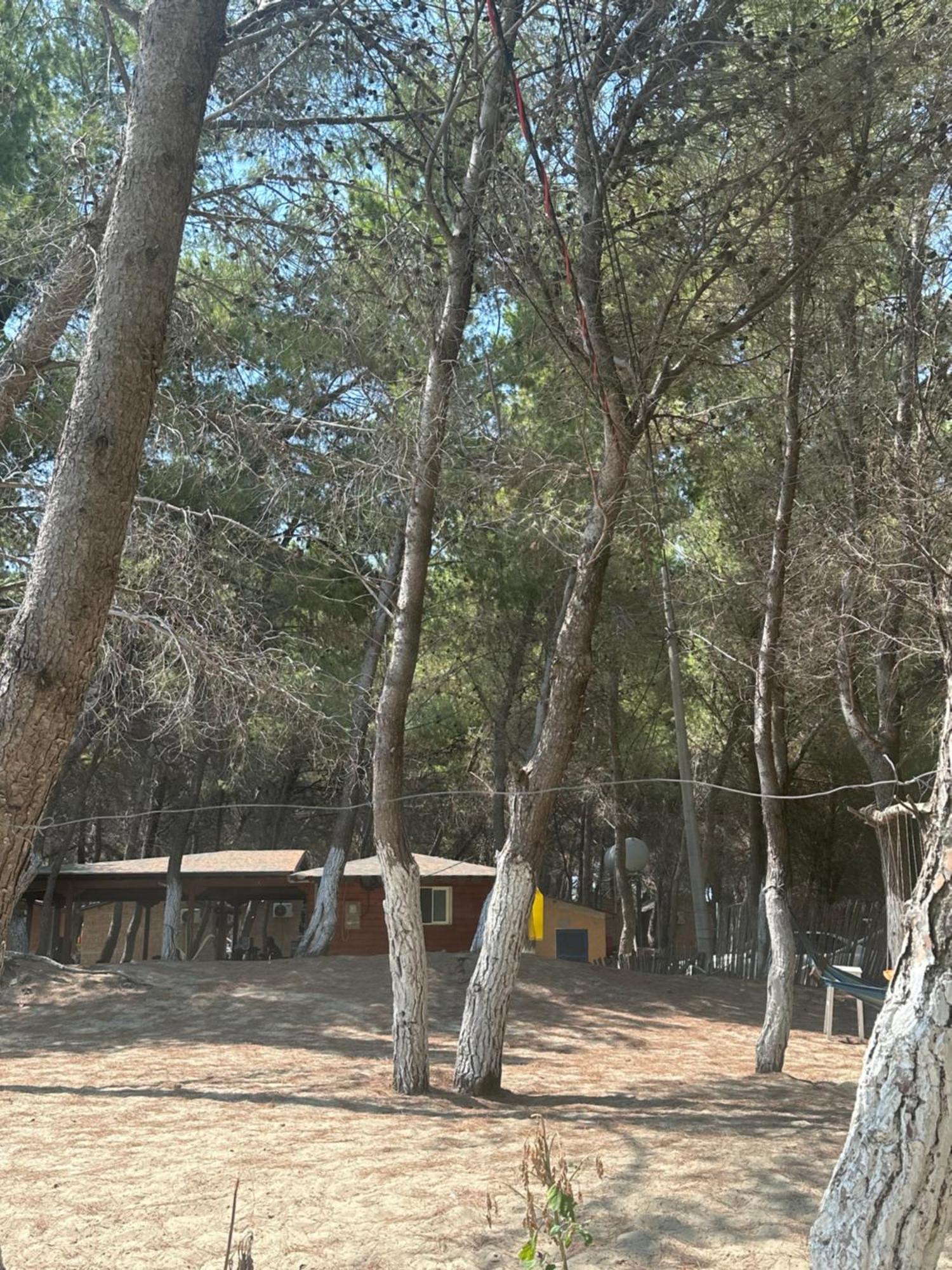Apartament Rent Zvernec, Vlore Zverneci